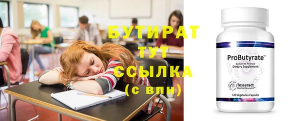 мдпв Краснослободск