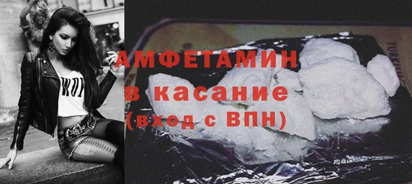 мдпв Краснослободск