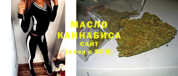 мдпв Краснослободск